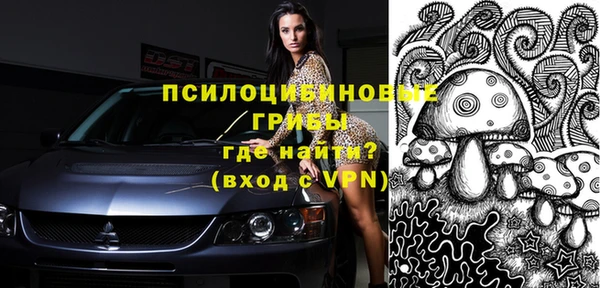 прущий лед Касимов
